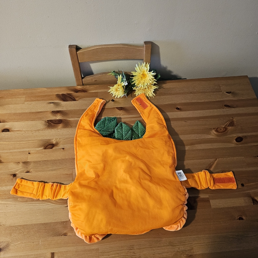 Thrills & Chills - Dog Pumpkin Halloween Costume - Size L - Picture 3 of 13